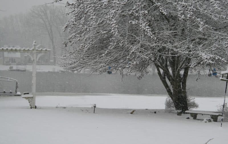 Picture of yard and river in the winter. Perfect meal for a cold winter day cooking in the kitchen