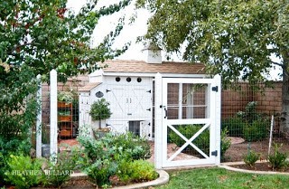 Chicken Coop Design