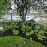 A lush garden with green ferns and plants thrives under a large tree beside the lake. Wooden docks extend into the water, and a bird feeder hangs from a branch. Tranquility fills the air as And The River Rises, embracing this scene of natural beauty.