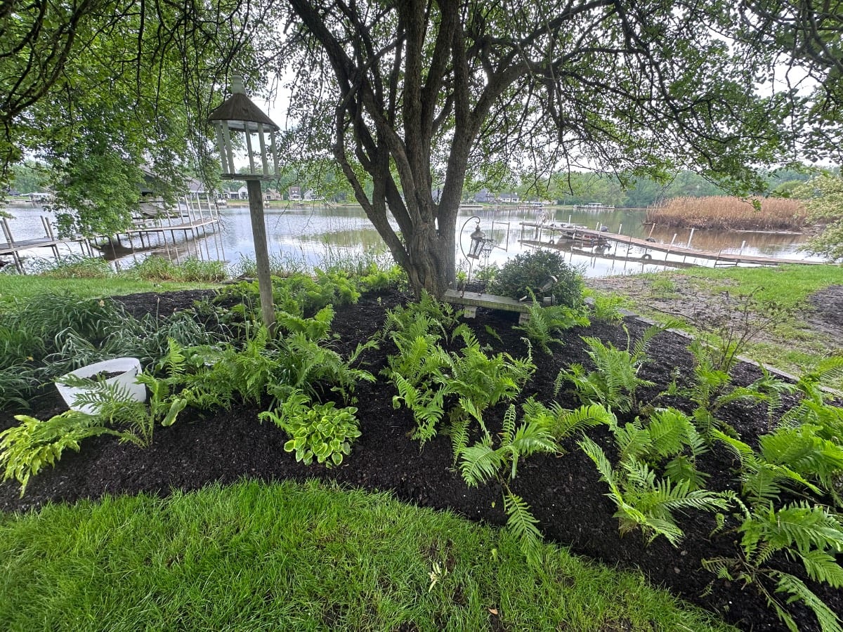 A lush garden with green ferns and plants thrives under a large tree beside the lake. Wooden docks extend into the water, and a bird feeder hangs from a branch. Tranquility fills the air as And The River Rises, embracing this scene of natural beauty.