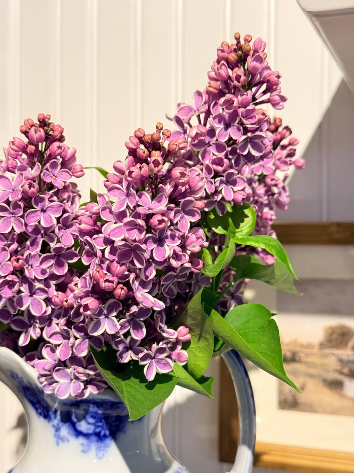 A close-up of a bouquet of purple lilac flowers with green leaves in a white ceramic vase with blue accents, set against a white paneled background and a framed picture titled "And The River Rises" on the wall.