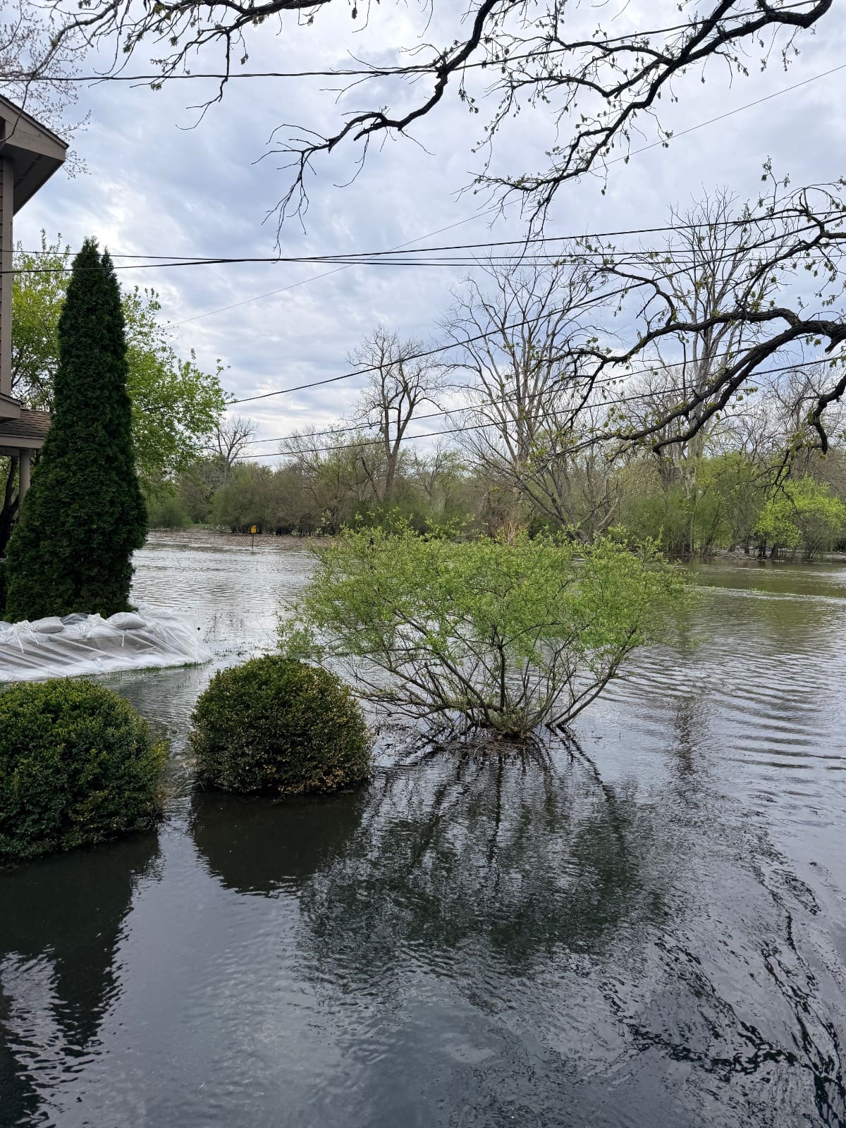 Floodwaters surround bushes and cover the ground near a house, with sandbags stacked by the building. Leafy and bare trees stand in the background under a cloudy sky, as And The River Rises ominously nearby.