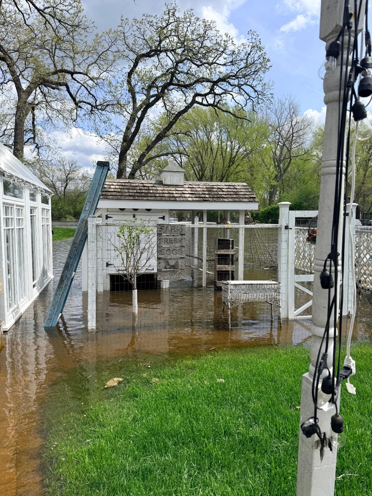 A white chicken coop surrounded by floodwater stands beside a glass building. A ladder leans on the coop, and trees are visible in the background as And The River Rises, leaving only a small patch of green grass dry in the foreground.