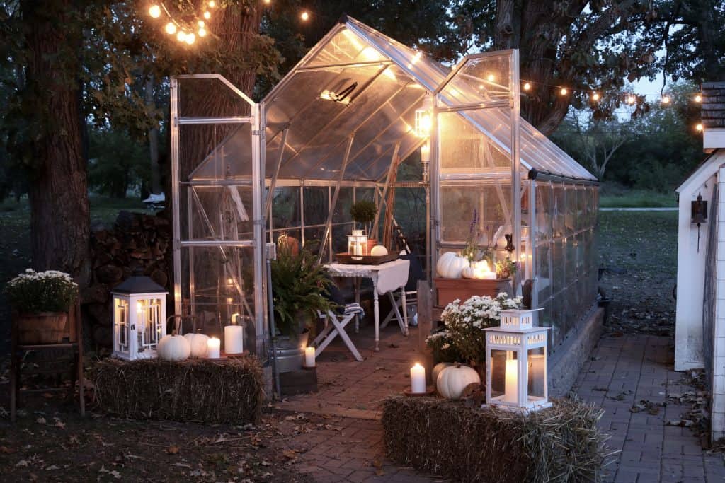 Fall Greenhouse