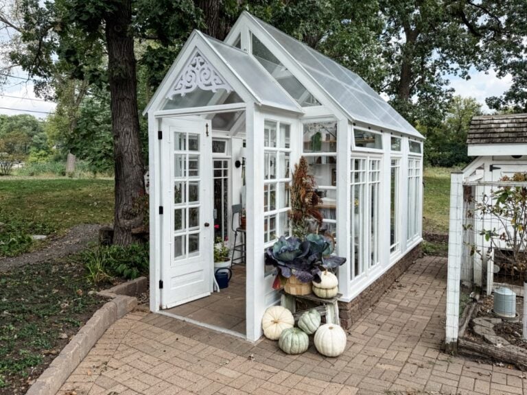 A white greenhouse with glass walls, pumpkins, and potted plants on a brick patio—autumn is the season here.
