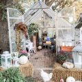 Fall greenhouse decor with chickens