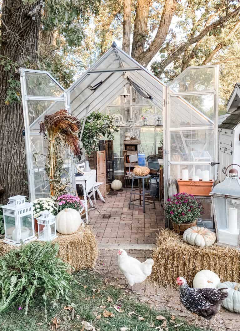 Decorating My Greenhouse for Fall