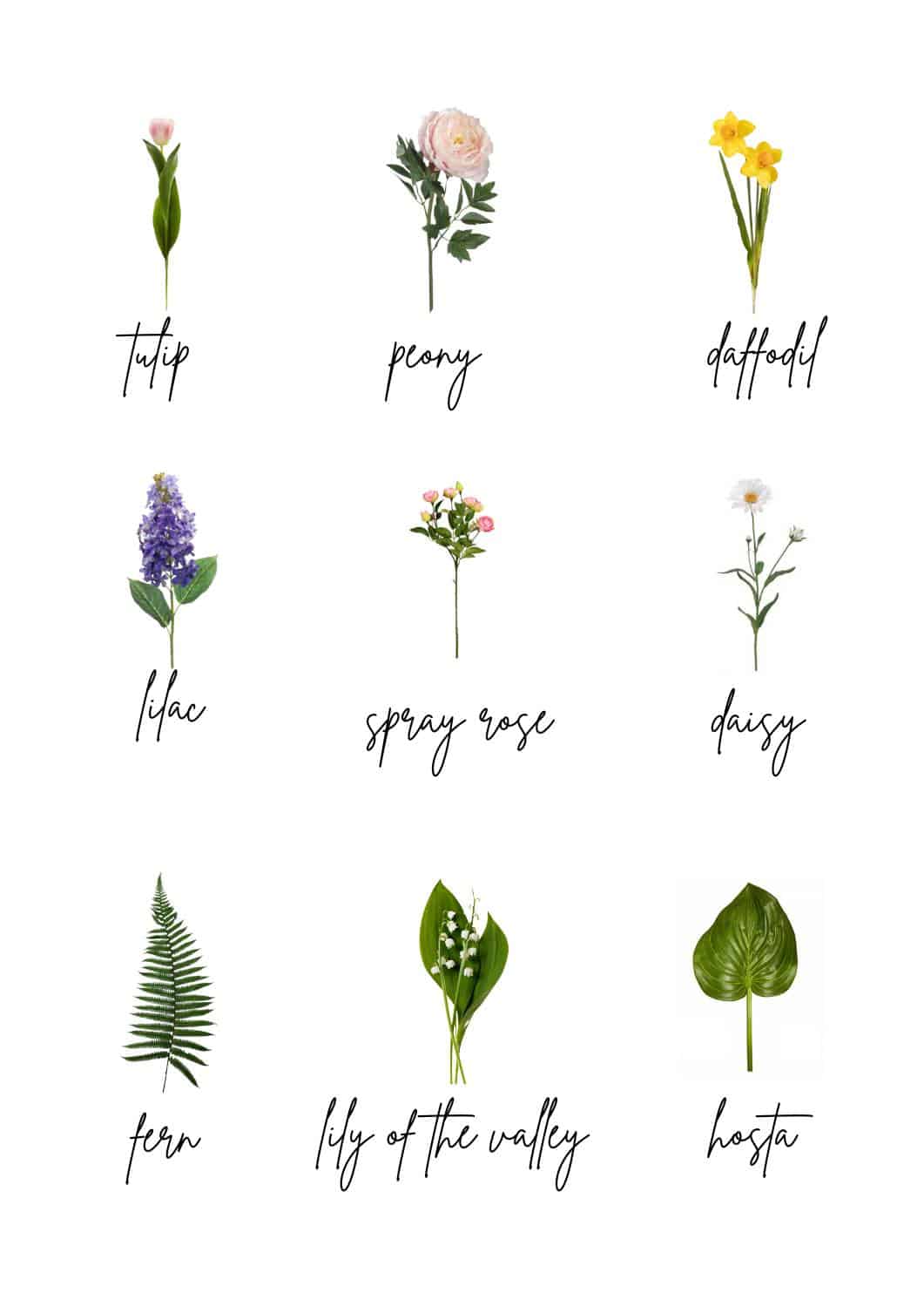 chart of flowers with spring flowers