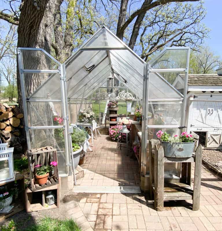 Summer Greenhouse