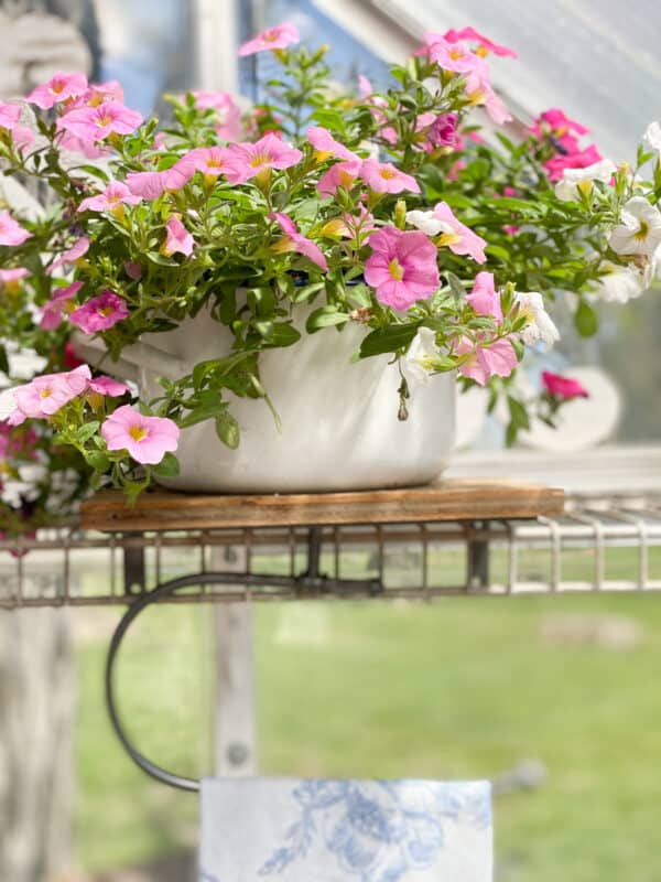 Greenhouse Sink Area