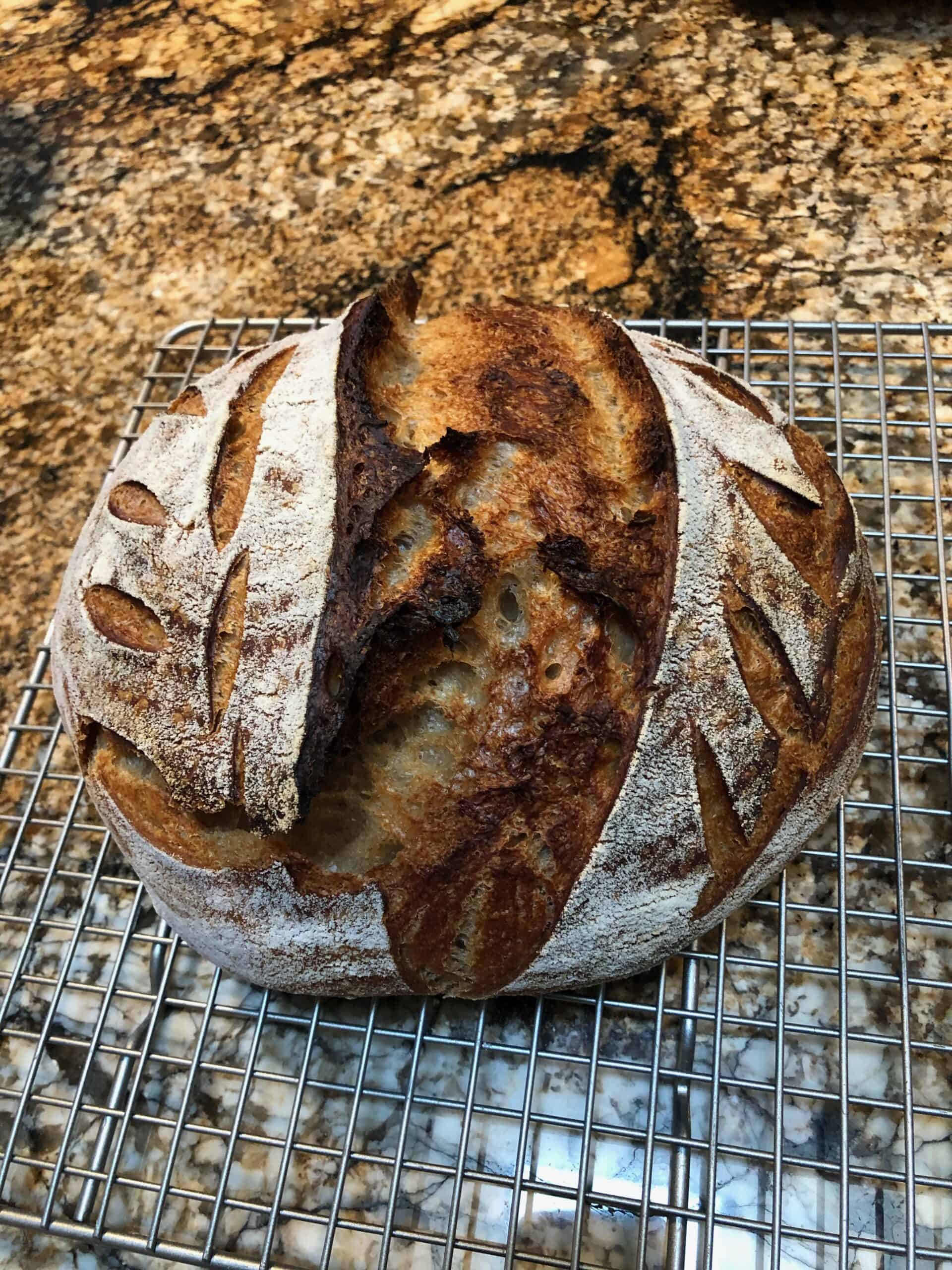 Homemade Sourdough Bread on Counter