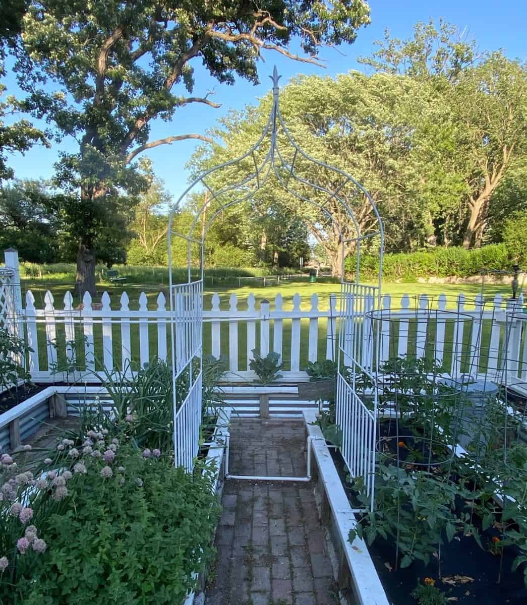 my vegetable garden soon after I have put my plants in the ground. my photograph journal is something I update frequently during the growing season