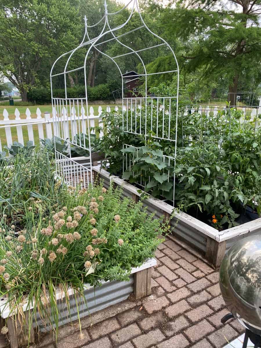 A photo of my vegetable garden which is the area that I keep the closet track in my garden journal