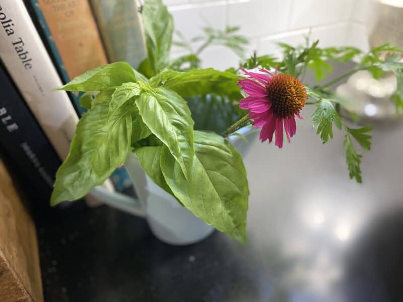 photo of basil and a few flowers in a vase on my kitchen cabinet 