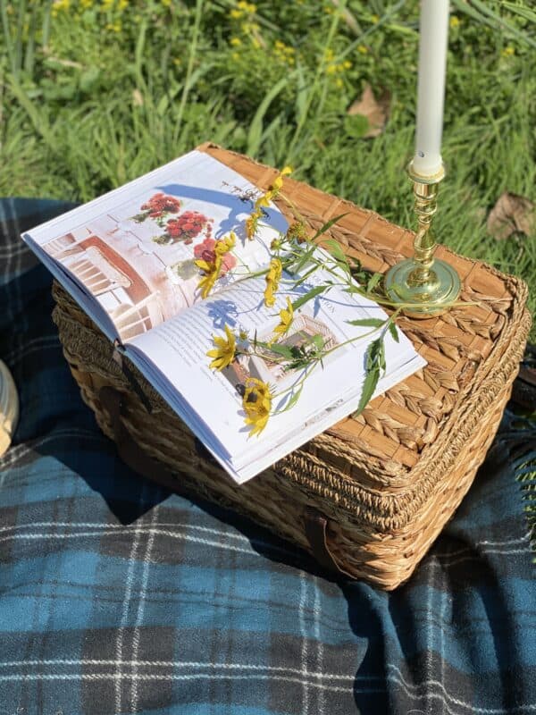 Fall picnic with Liz Galvan's Cozy Cottage Book open on picnic basket