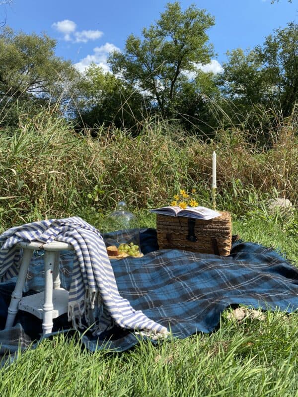 Black and Blue Plaid Blanket in a field with a picnic basket, snacks, a book and a throw.  Everything you need for a fun fall picnic