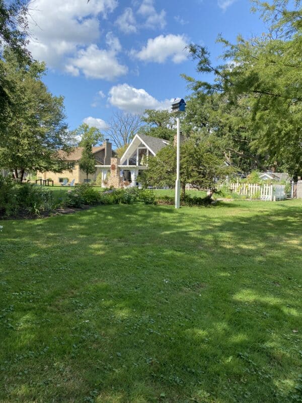 Picture taken of our backyard looking at our house with the blue sky in the background