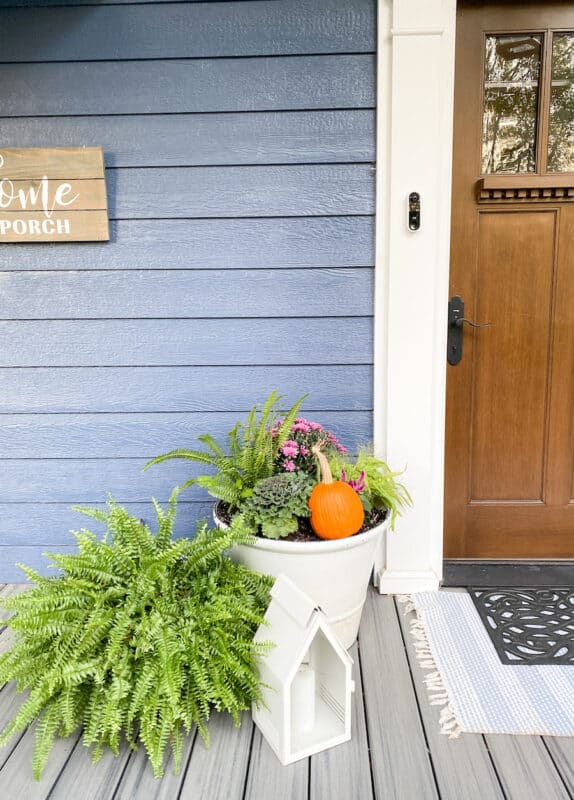 White pots next to the door with new flowers. I put the ferns that were hanging all summer and tucked them in by the pots to add more foliage by the doors