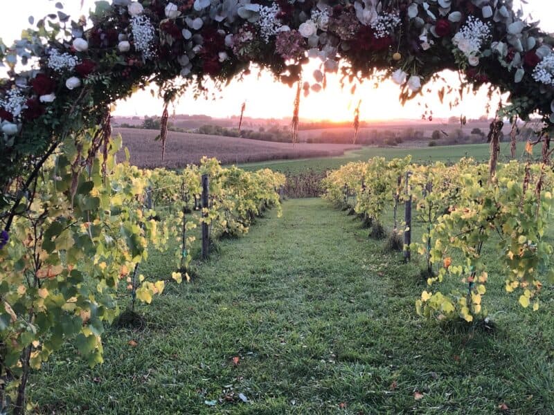 Arbor filled with flowers with a backdrop of a winery and rolling hills in the background