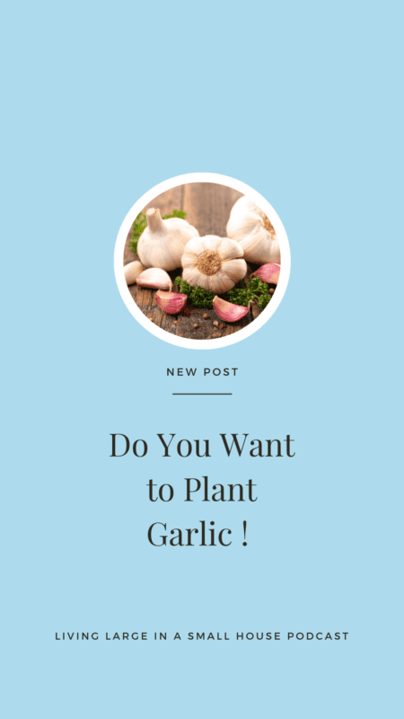 Pinterest Pin - planting garlic