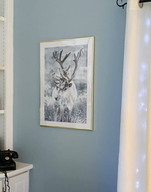 close up of reindeer print from the poster store