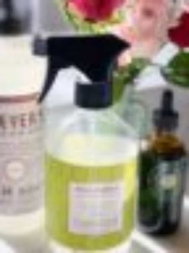 Speed Clean for the Holidays