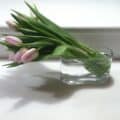 pink tulips in glass vase on white countertop