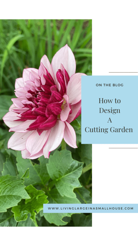 Pinterest graphic with a dahlia flower and an overlay that says "How to Design a Cutting Garden"