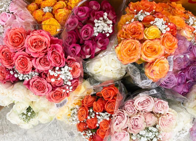 beautiful spring flowers at Trader Joe's