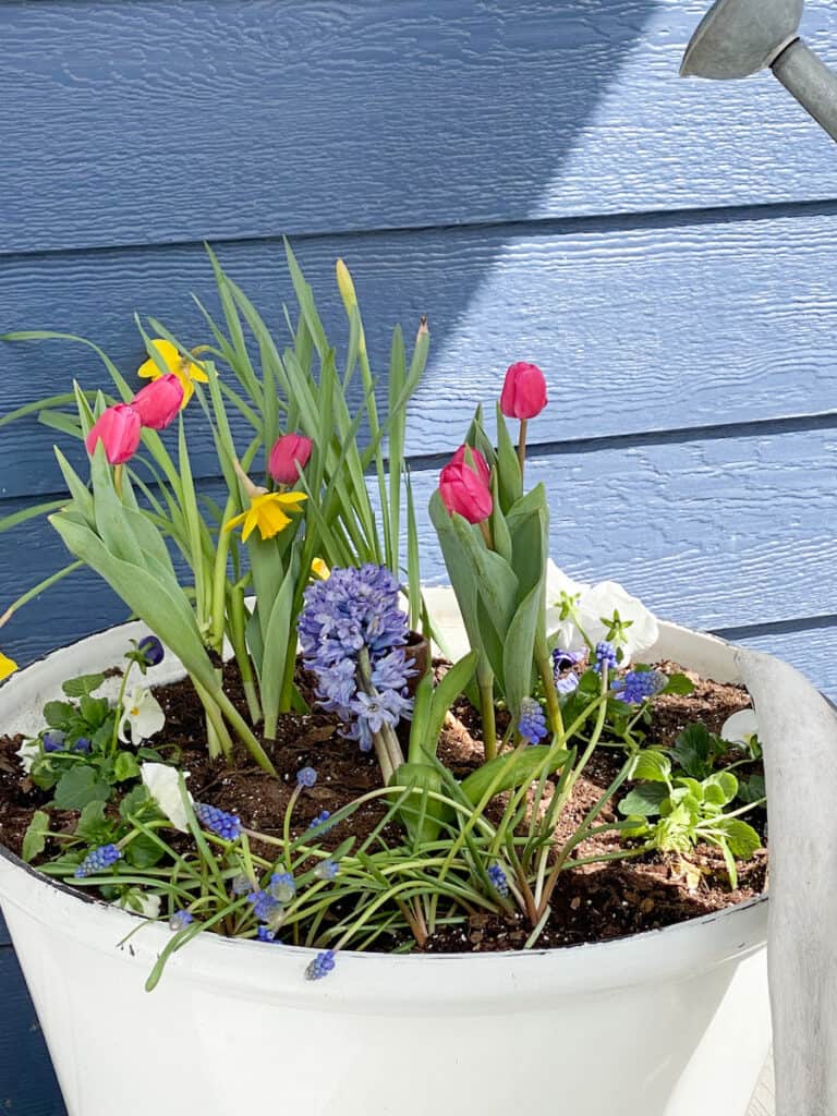Saturday Shopping with Me – Flower Pot Hack