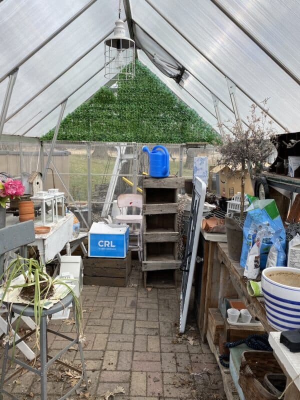 picture of the greenhouse before I cleaned it up for spring. Filled with dead plants, boxes, and other stuff that doesn't belong in a greenhouse