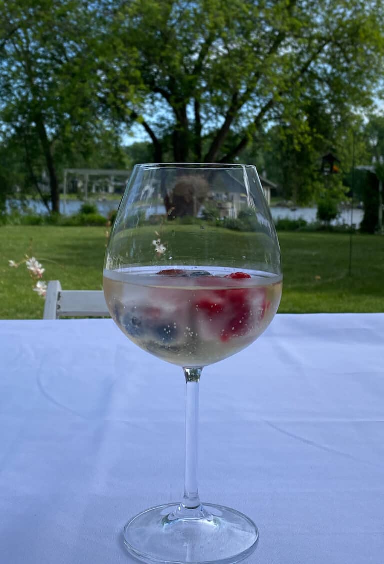 a glass of sparkling wine with berry ice cubes in a wine glass with our summer yard in the backyard.