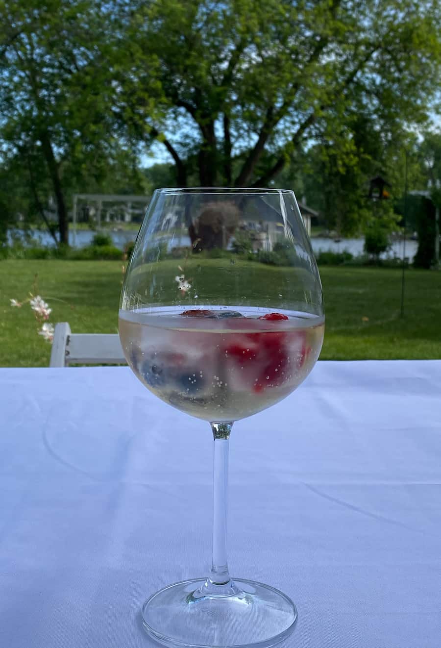 a glass of sparkling wine with berry ice cubes in a wine glass with our summer yard in the backyard.