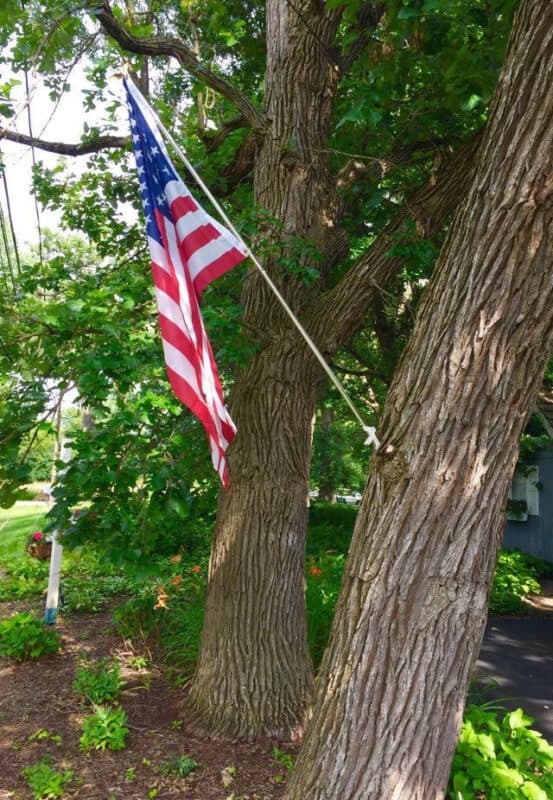 Beautiful American Flag hanging outside in the garden