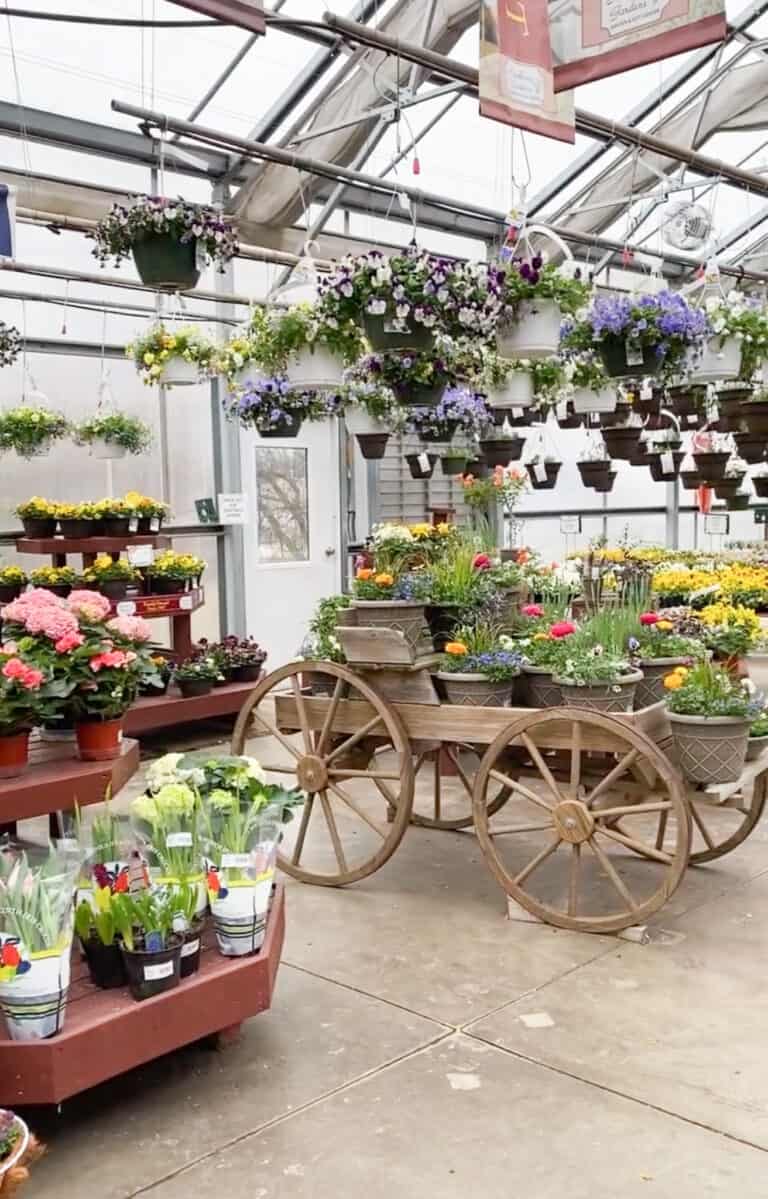 my local nursery with tables and a wooden cart filled with pots of flowers. This answers the question of what do moms really want for mother's day