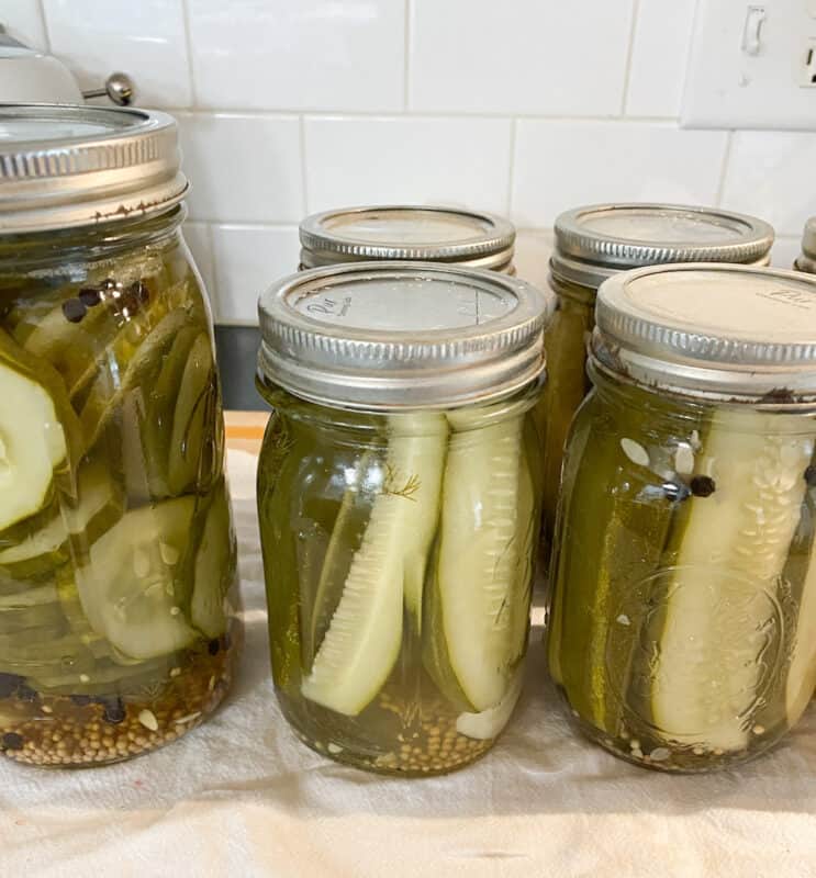 Pickles in jars on a counter top.