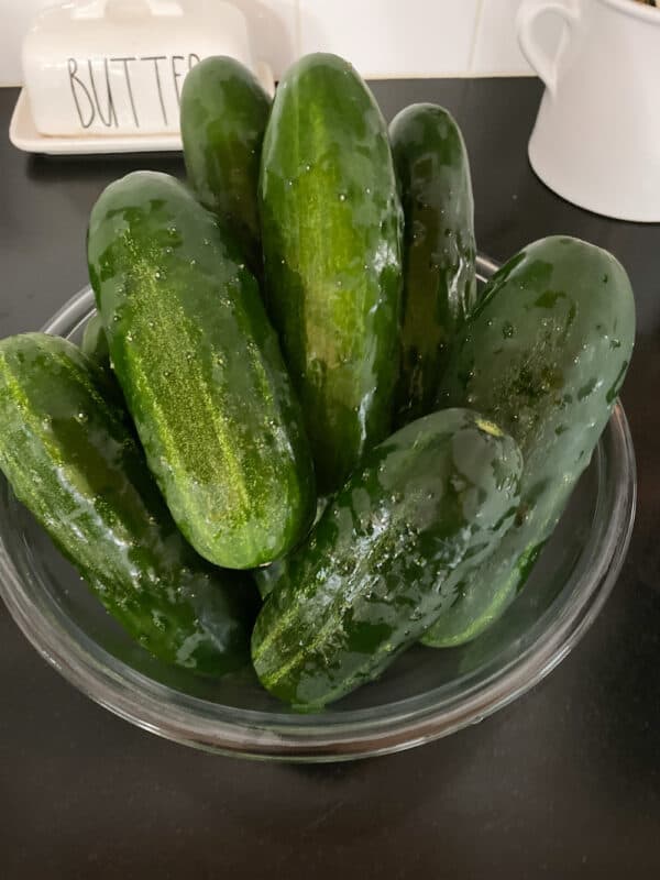 whole cucumbers in a large bowl