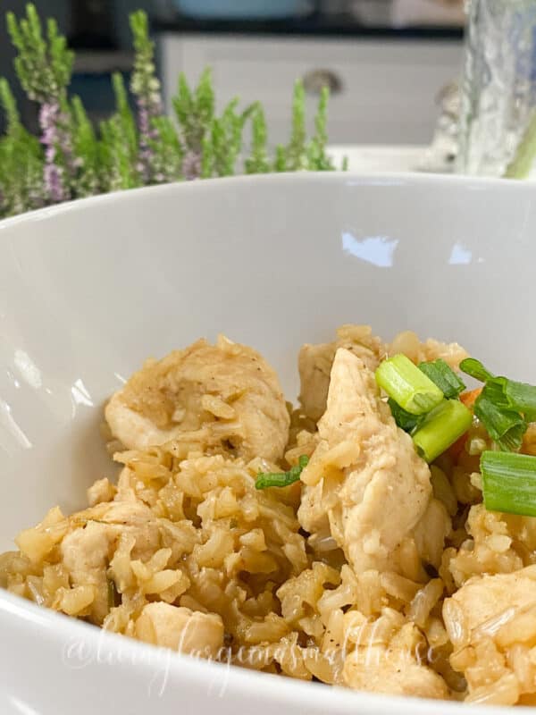a bowl with my from scratch cooking gluten free chicken and rice recipe