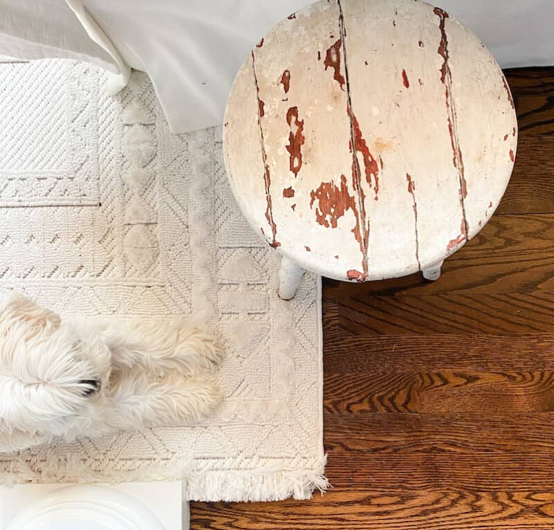 a flat lay of my boutique rug with Molly laying on it