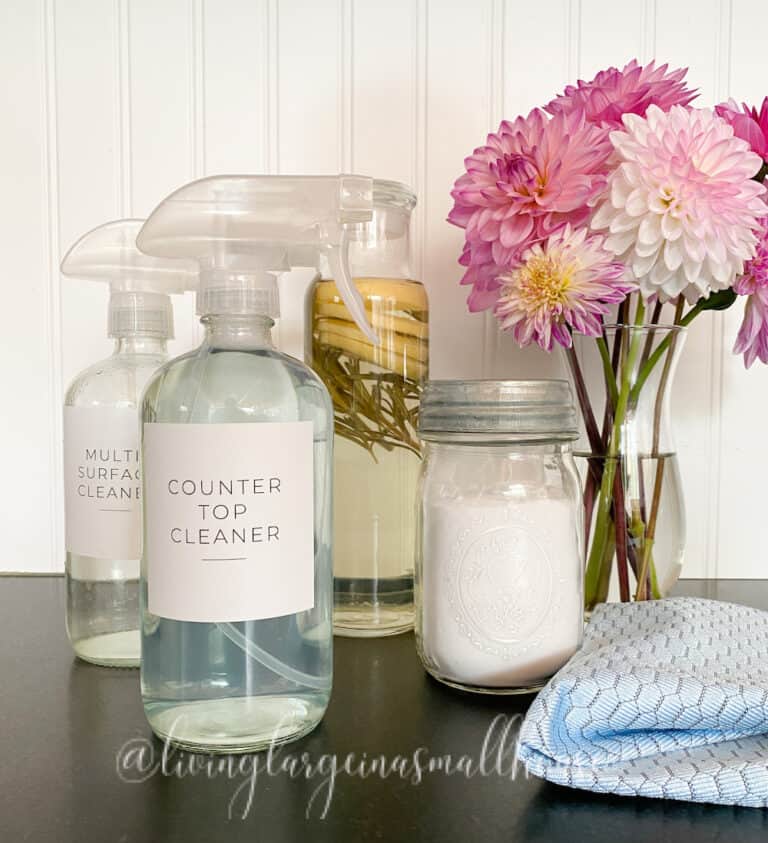 Have a Clean Home with Homemade Cleaning Products