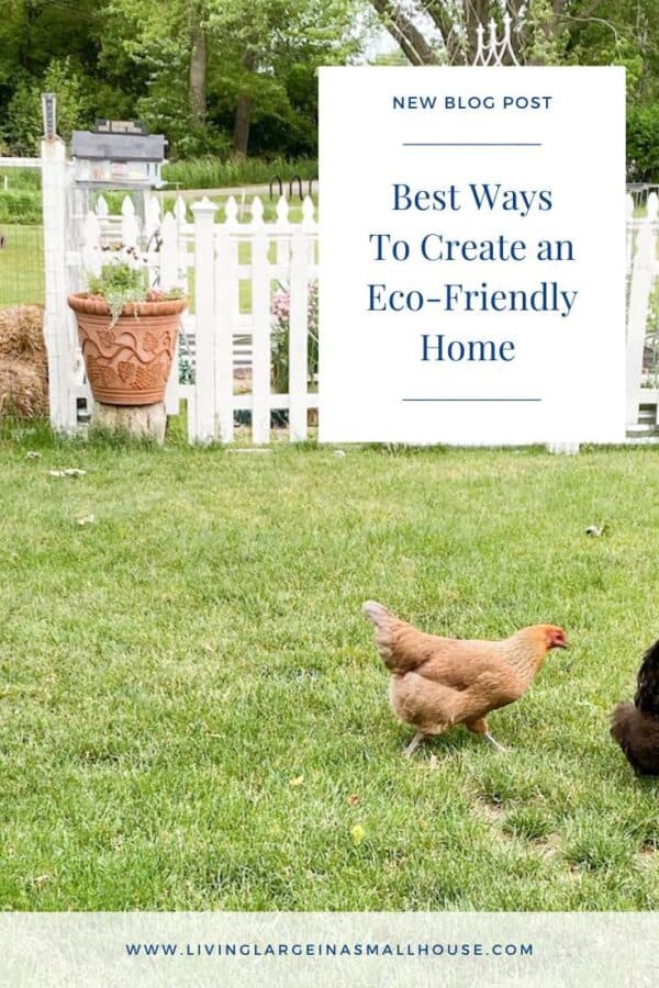 Living Large In A Small House, LLC | Best Ways to Create an Eco ... - Living Large In Small Eco Spaces