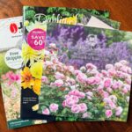 Four colorful seed and flower catalogs are stacked on a wooden surface, with the top one titled "Handbook of Roses 2026"—a perfect resource for Zone 5b garden planning in January—featuring pink roses and a purple flower background on its cover.