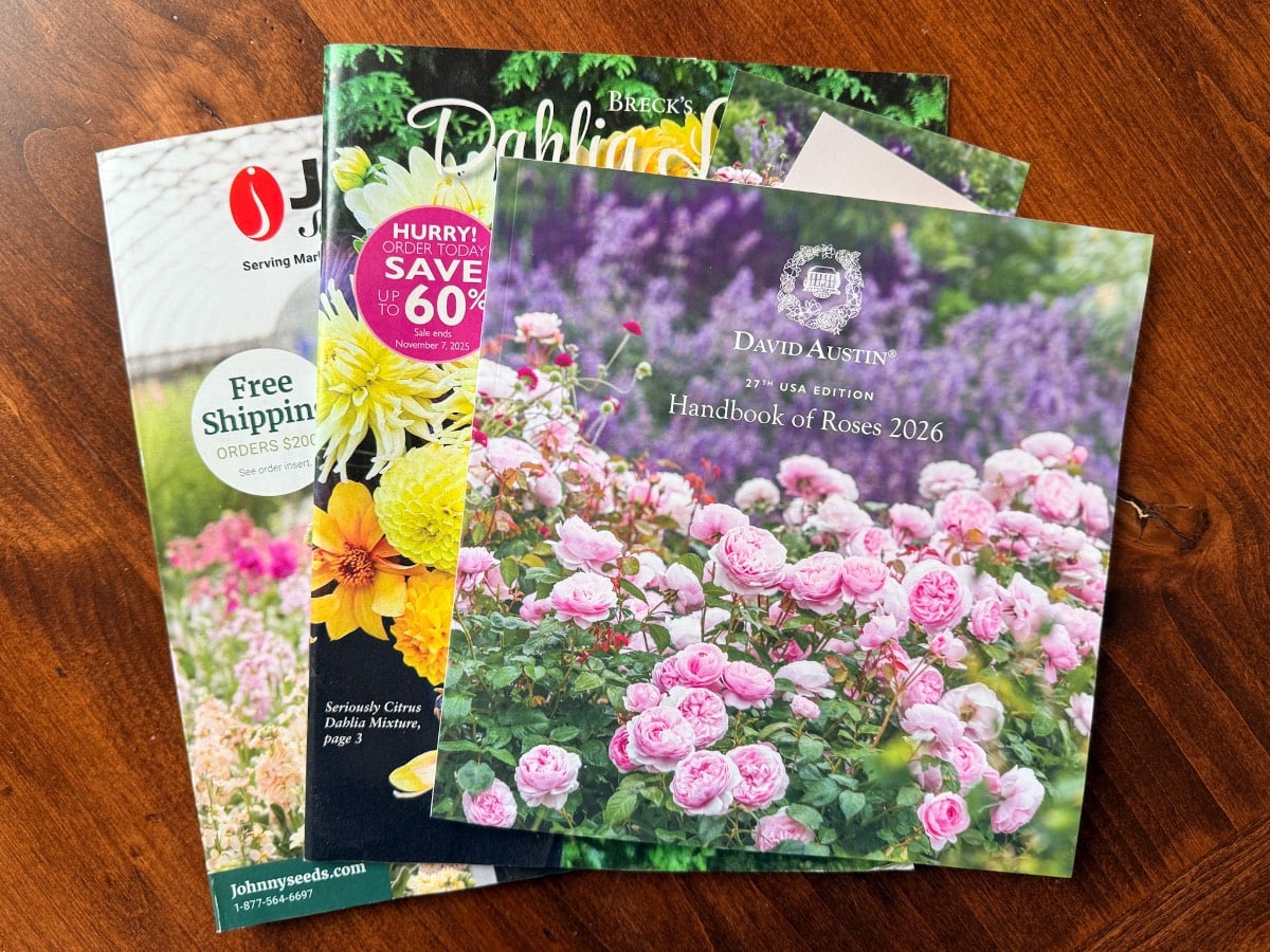 Four colorful seed and flower catalogs are stacked on a wooden surface, with the top one titled "Handbook of Roses 2026"—a perfect resource for Zone 5b garden planning in January—featuring pink roses and a purple flower background on its cover.