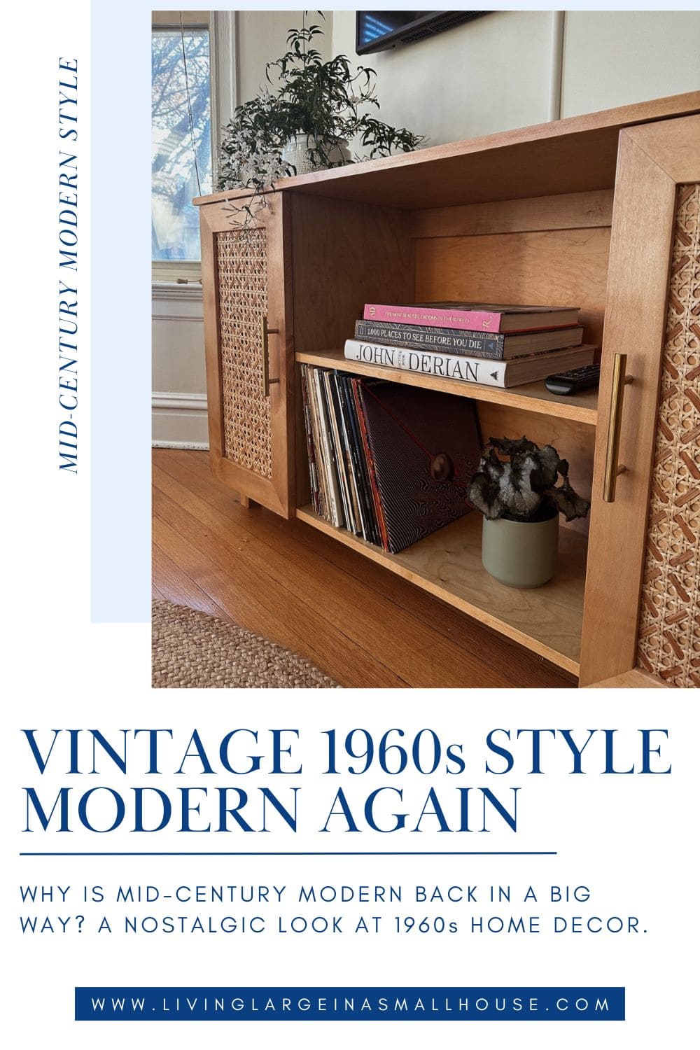 Wood cabinet with books and a plant, showcasing vintage 1960s home decor and mid-century modern nostalgia.
