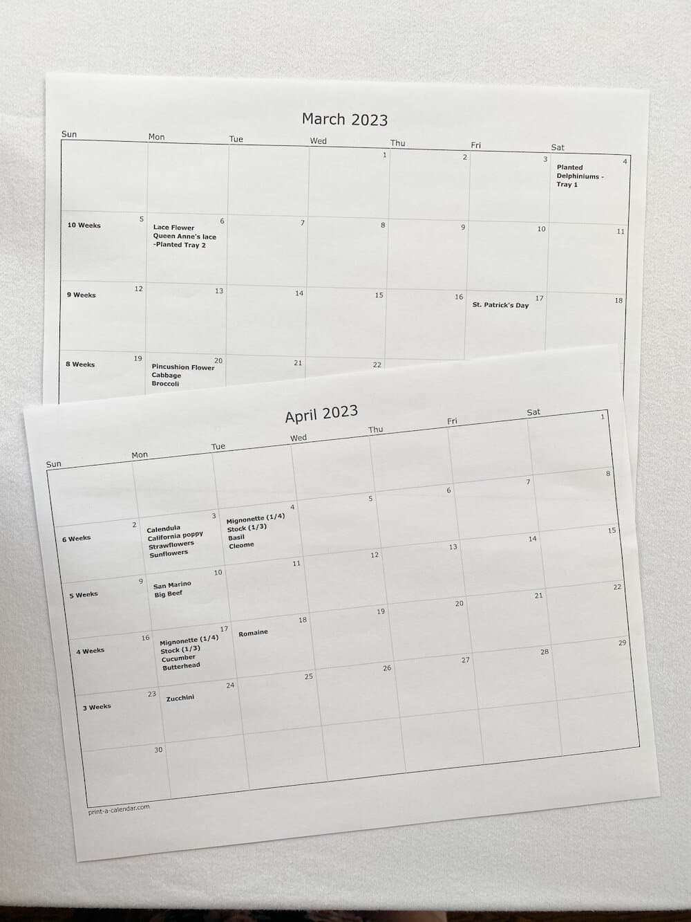 picture of my calendar plotting out when I'm starting plants from seeds