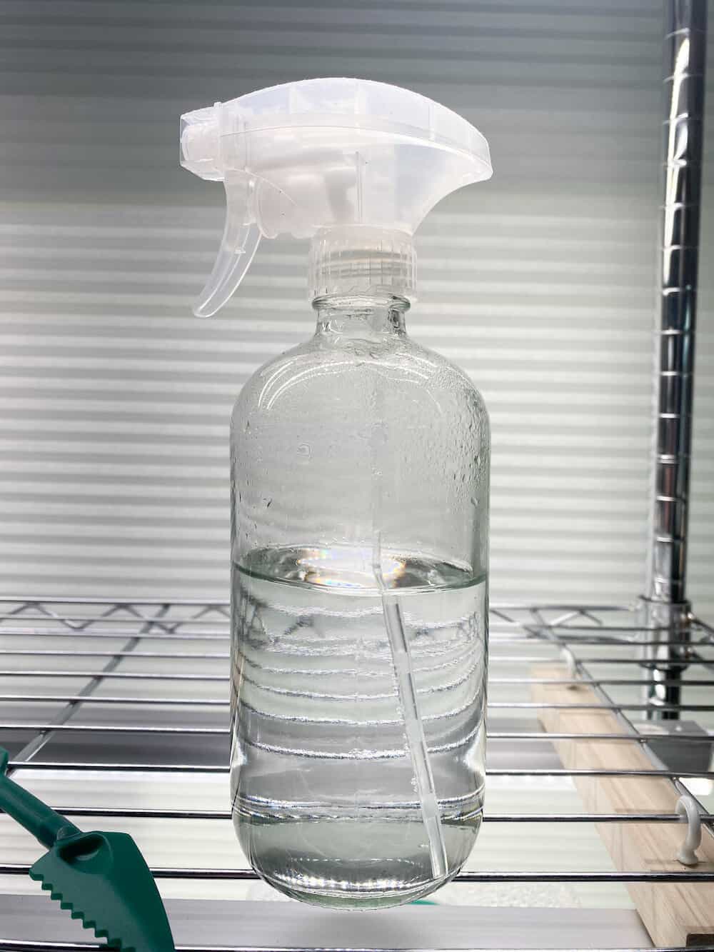 spray bottle for keeping the soil moist