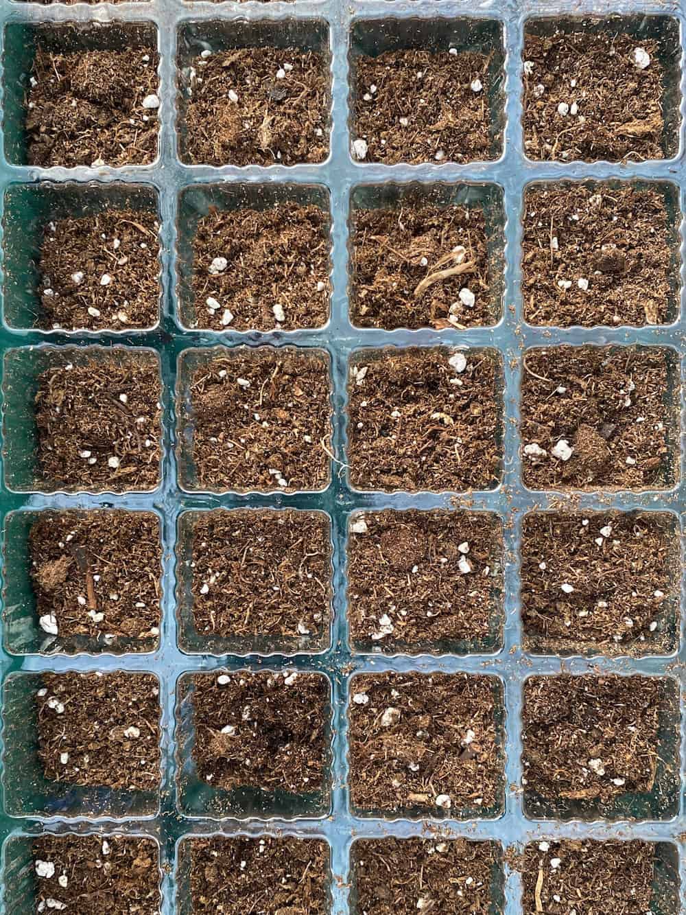 seed tray filled with potting soil