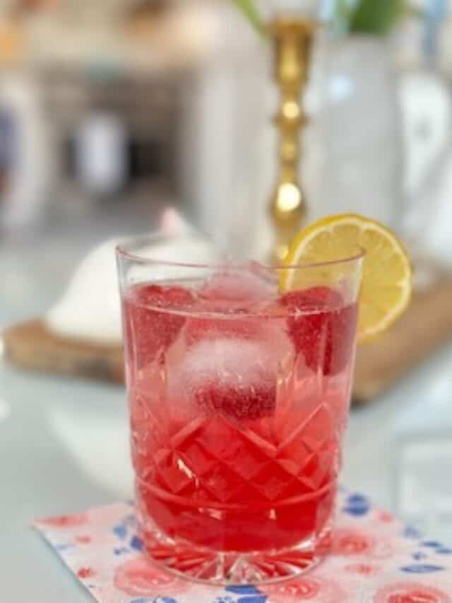 Raspberry Cordial Drinks – Virtual Book Club