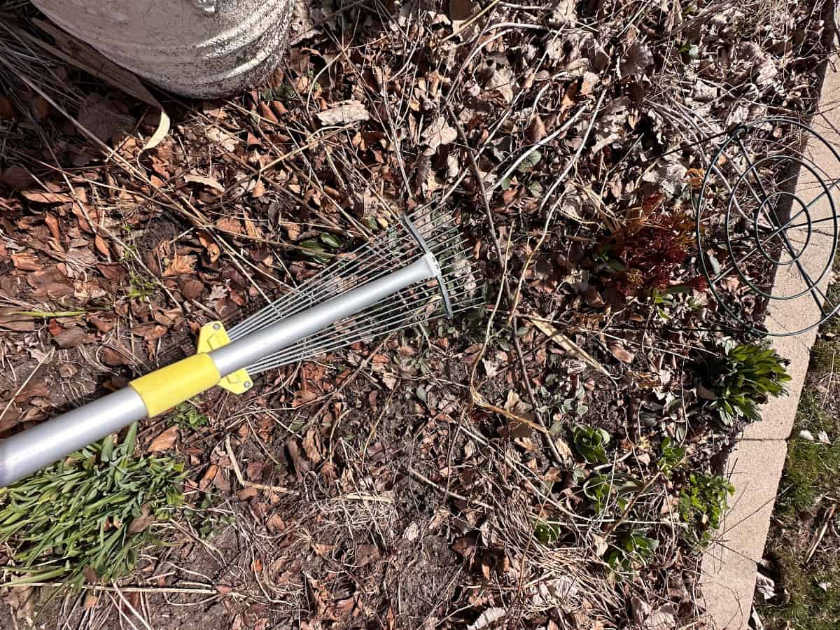 my favorite spring garden cleaning tool, an adjustable rake.