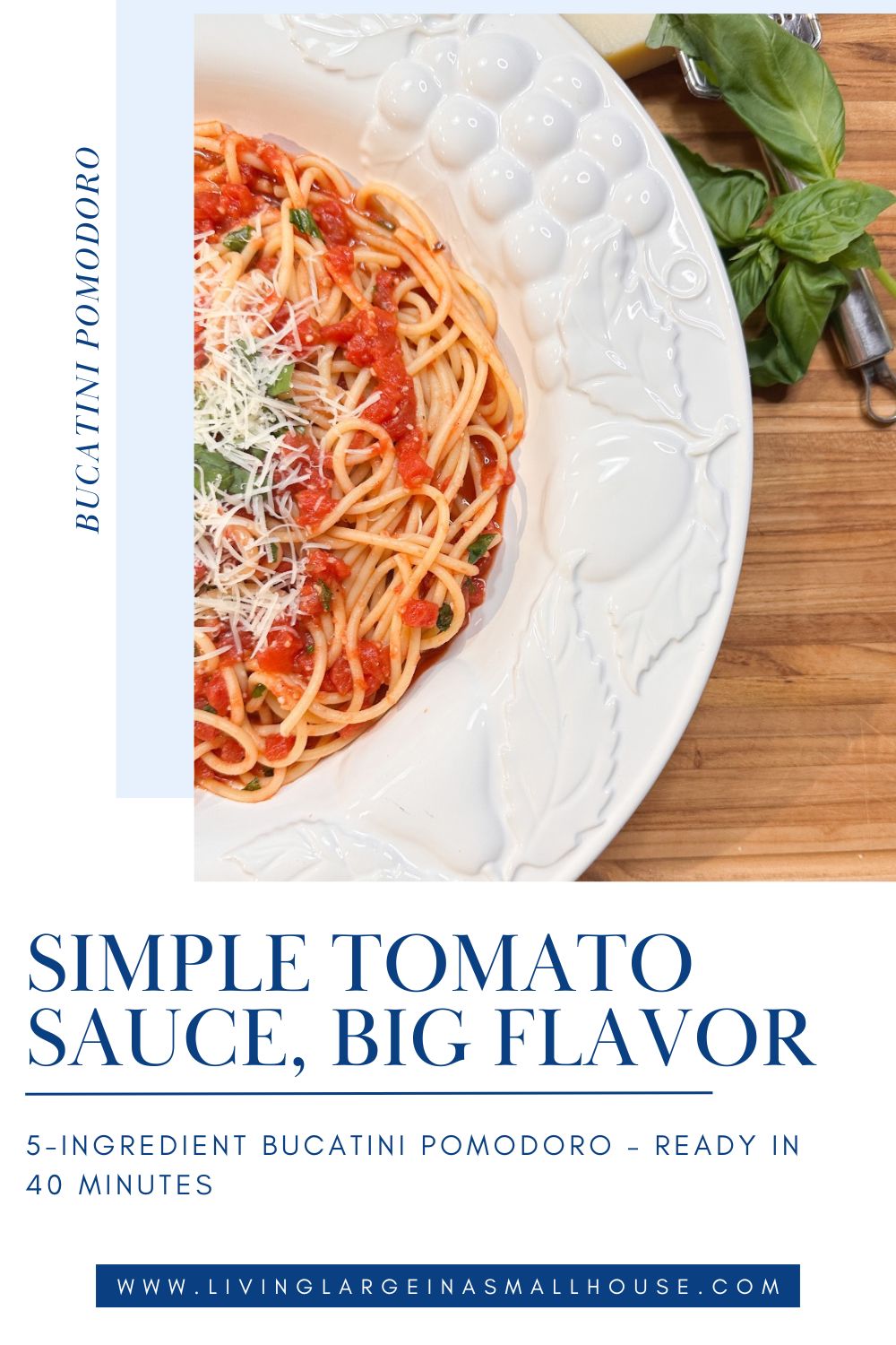 A plate of Bucatini Pomodoro with tomato sauce, grated cheese, and basil sits atop a rustic wooden table.